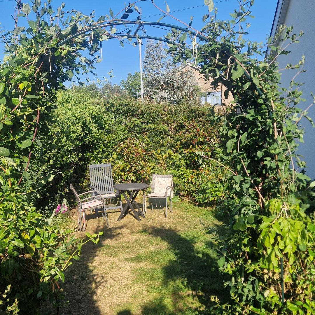 Garden 2.jpg